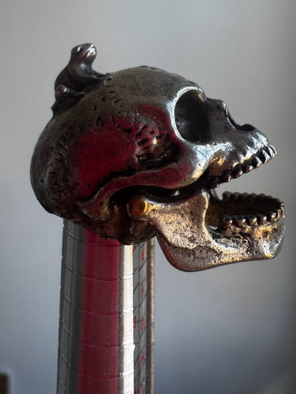 Toad on Skull: Vintage Unique Silver Skull Trinket